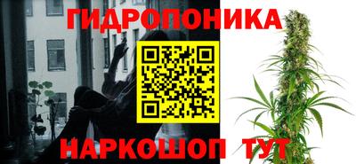 прущая мука Гай