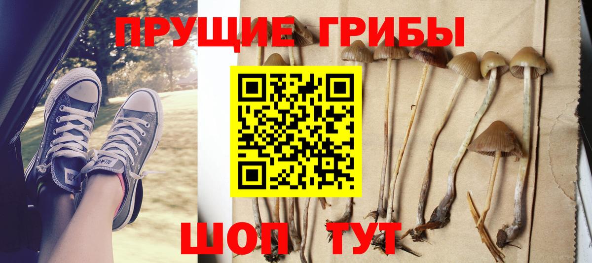 Галлюциногенные грибы мухоморы  Псилоцибиновые грибы Psilocybine cubensis  купить наркотики сайты  Полевской  Вход с VPN 